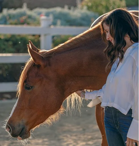 A woman gently touches the head of a brown horse in a fenced outdoor area.
