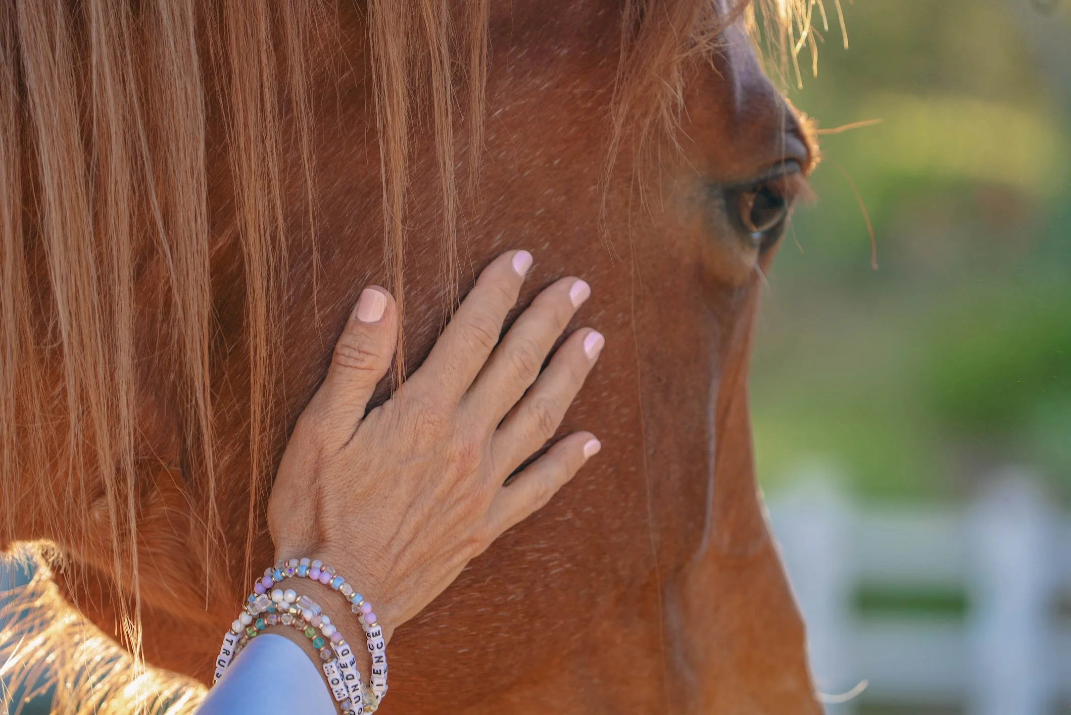 A close-up of a person's hand touching the face of a brown horse, with the person's fingers resting gently on the horse's face. The person is wearing beaded bracelets and a wristband, and has light pink nail polish. The background is blurred with greenery.