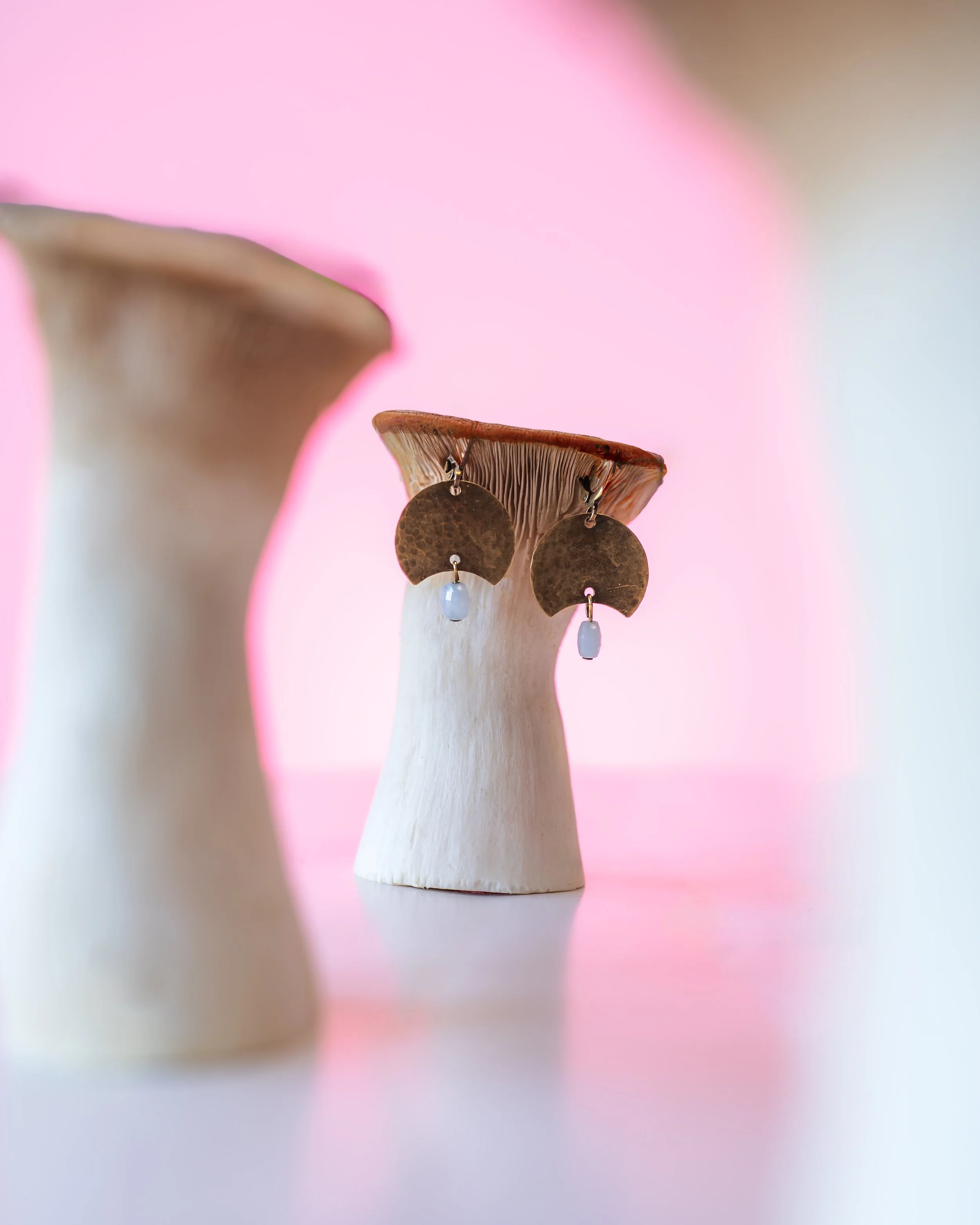 Nahaufnahme von Pilzen mit Ohrschmuck vor pastellfarbenem Hintergrund