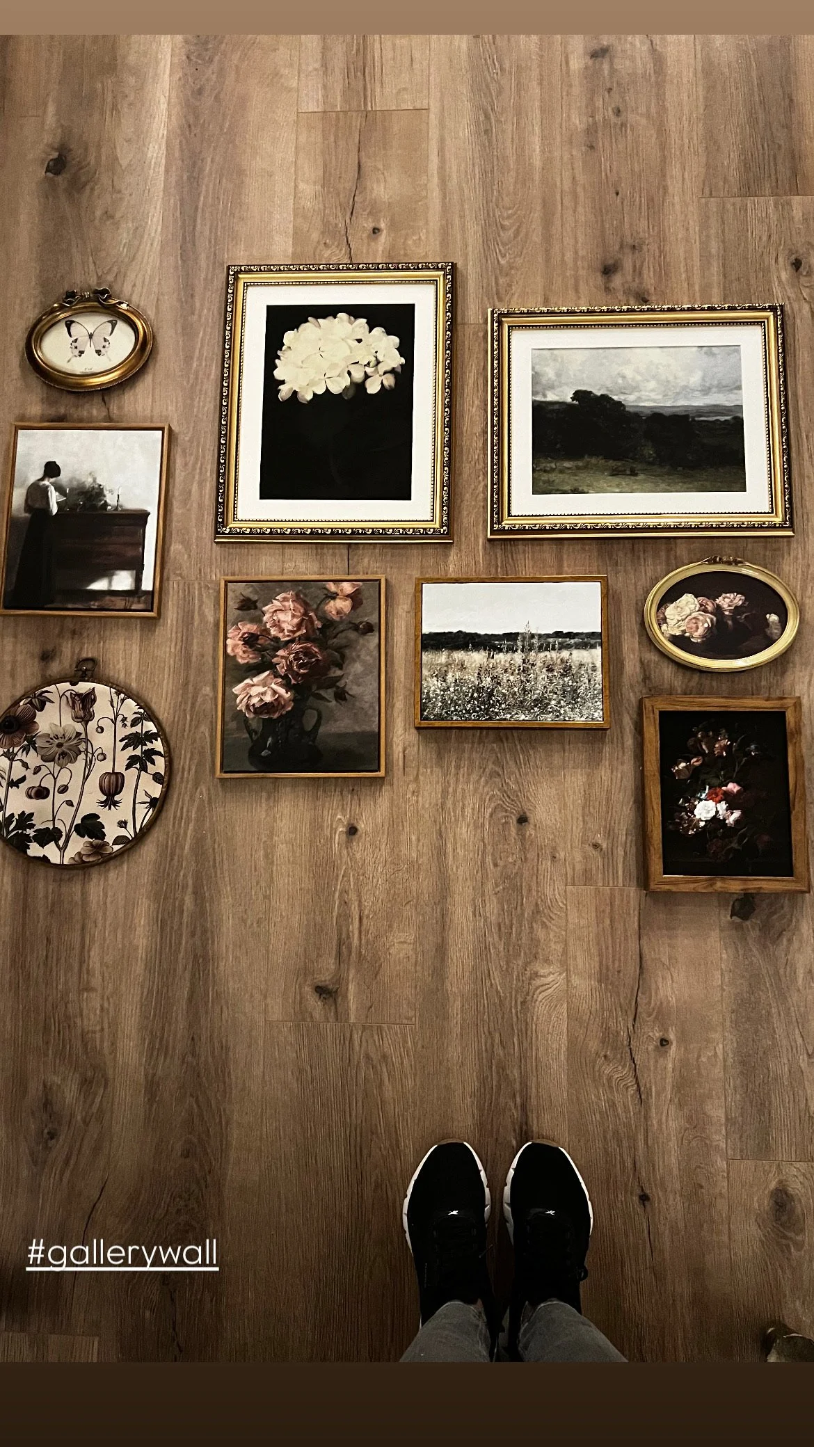 The Middle Island Project