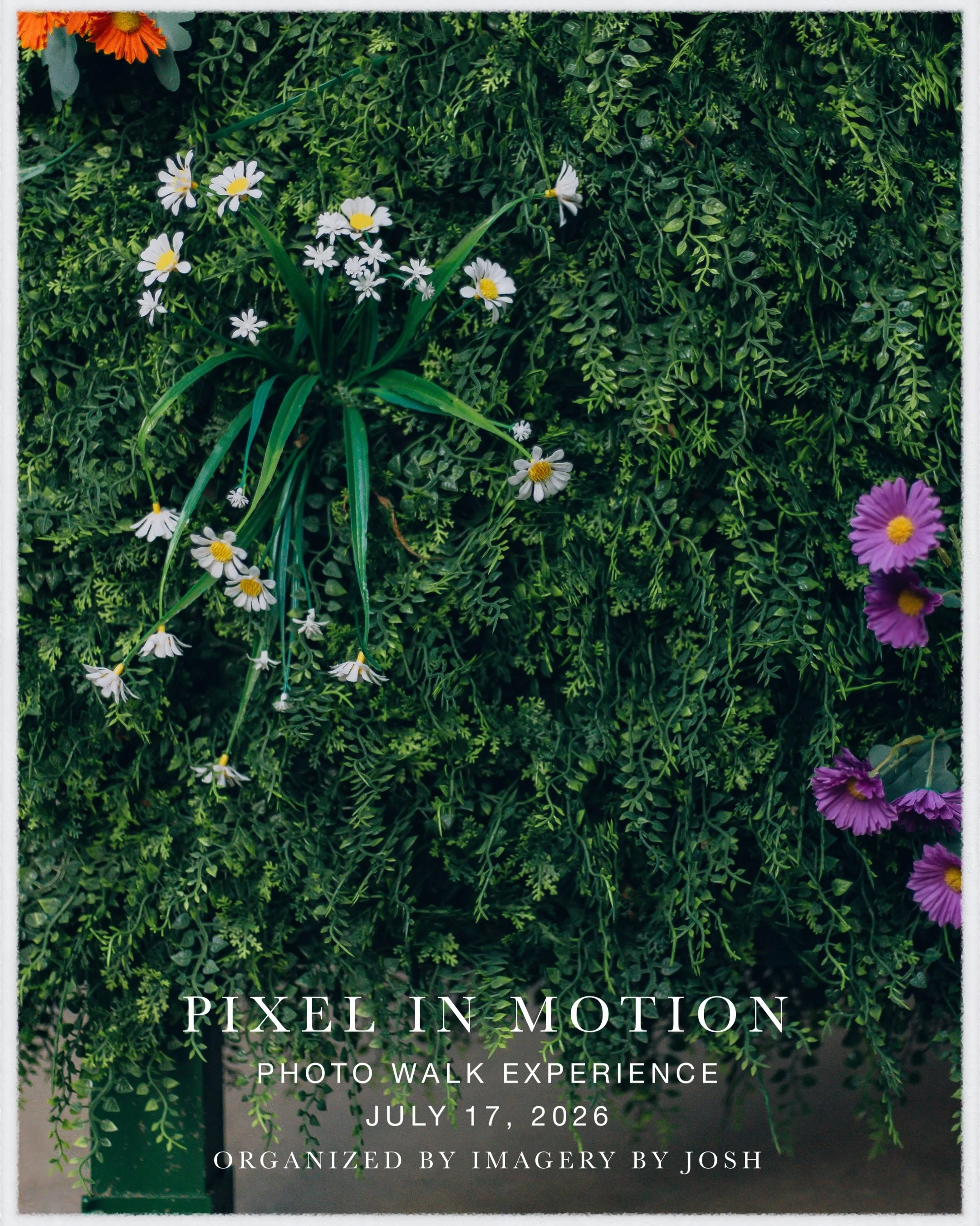 Thank you @imagerybyjosh // @libreatfive for organizing Pixel in Motion and inviting me to stroll along for your first monthly photo walk! I had a blast meeting other CT creatives and discussing all things photo, video, camera, and tech stuff. I hone