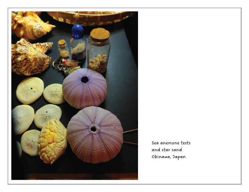 Artboard 10.webp