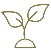 Line drawing icon of a plant
