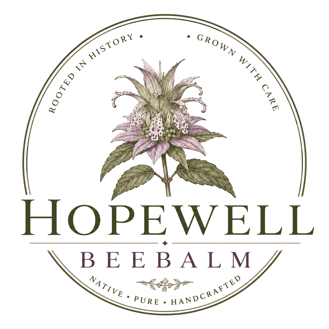 Hopewell Spotted Beebalm