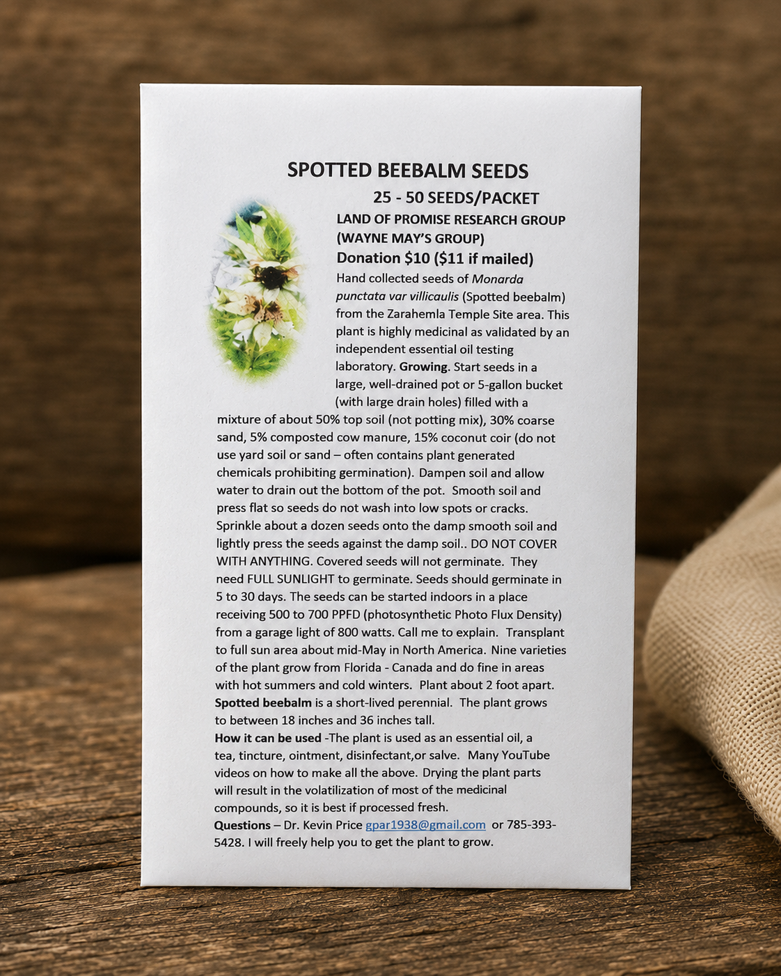 Spotted Beebalm Seeds