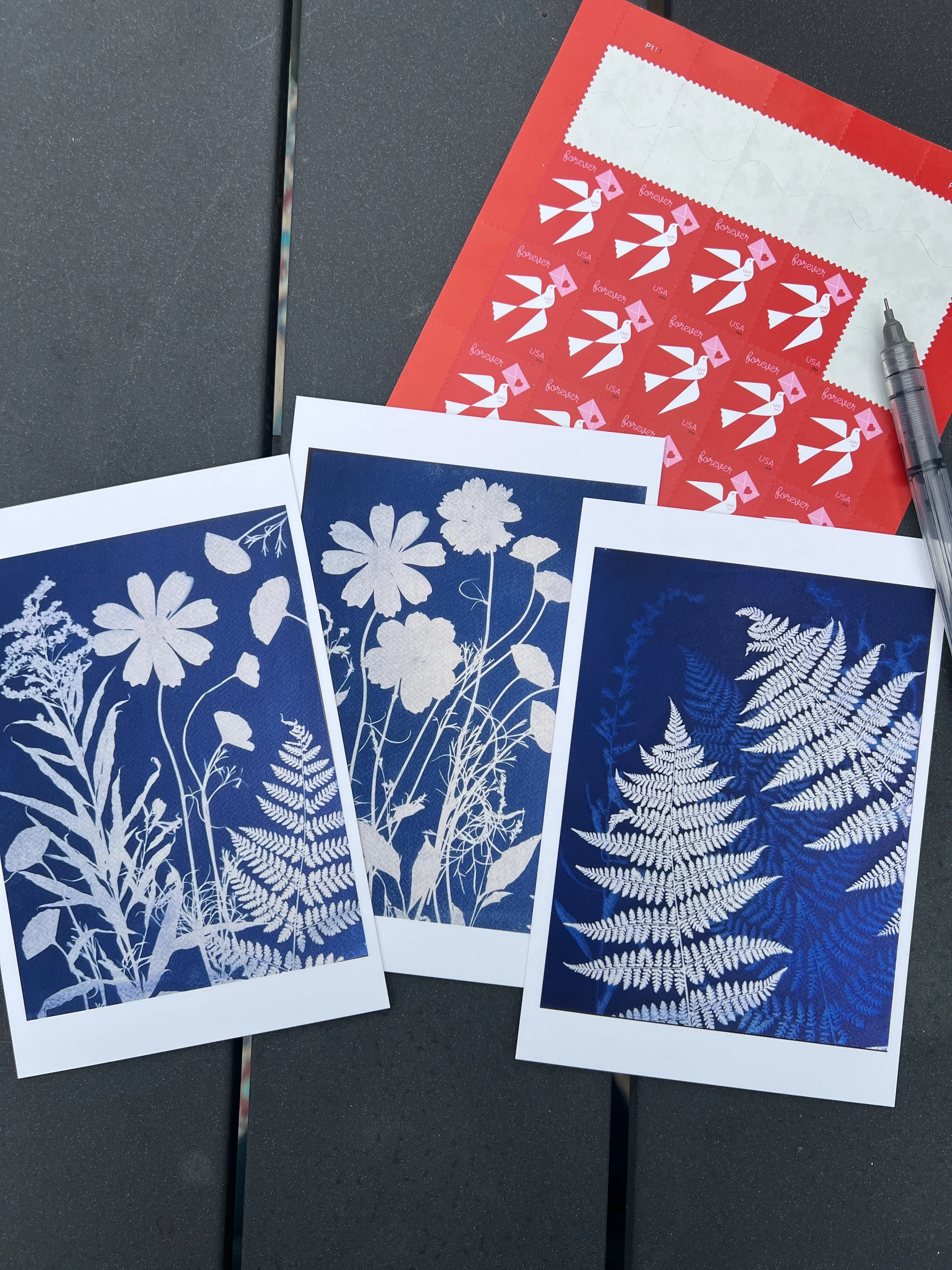 Original Cyanotype Postcards - 5x7- Set of 3
