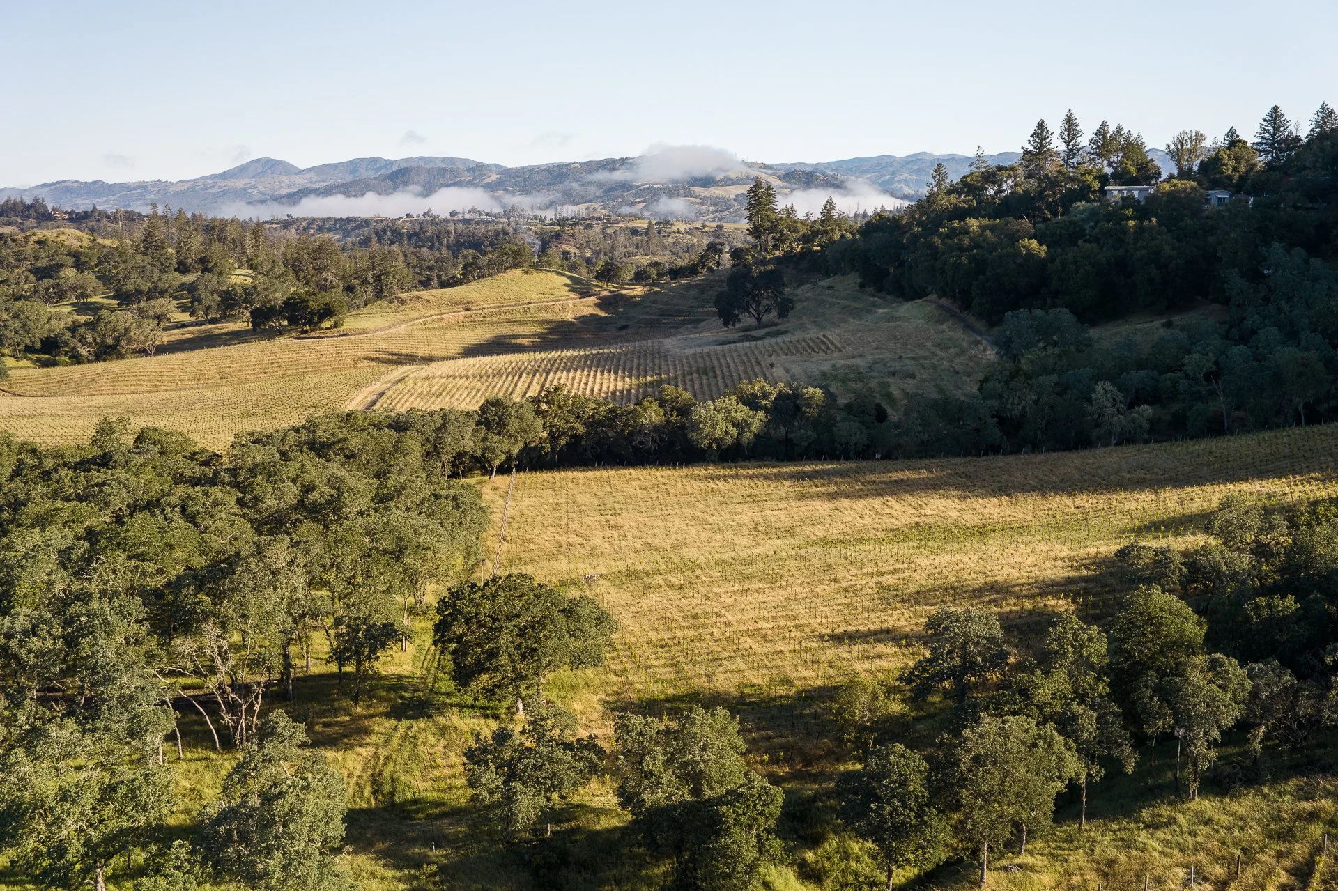 Lucero_Group_13414_Chalk_Hill_Rd-148.jpg