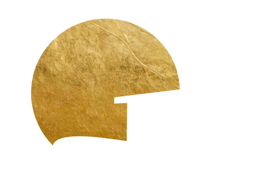 Close-up of a round, golden-brown snack food, likely a potato chip, with a plain white background.