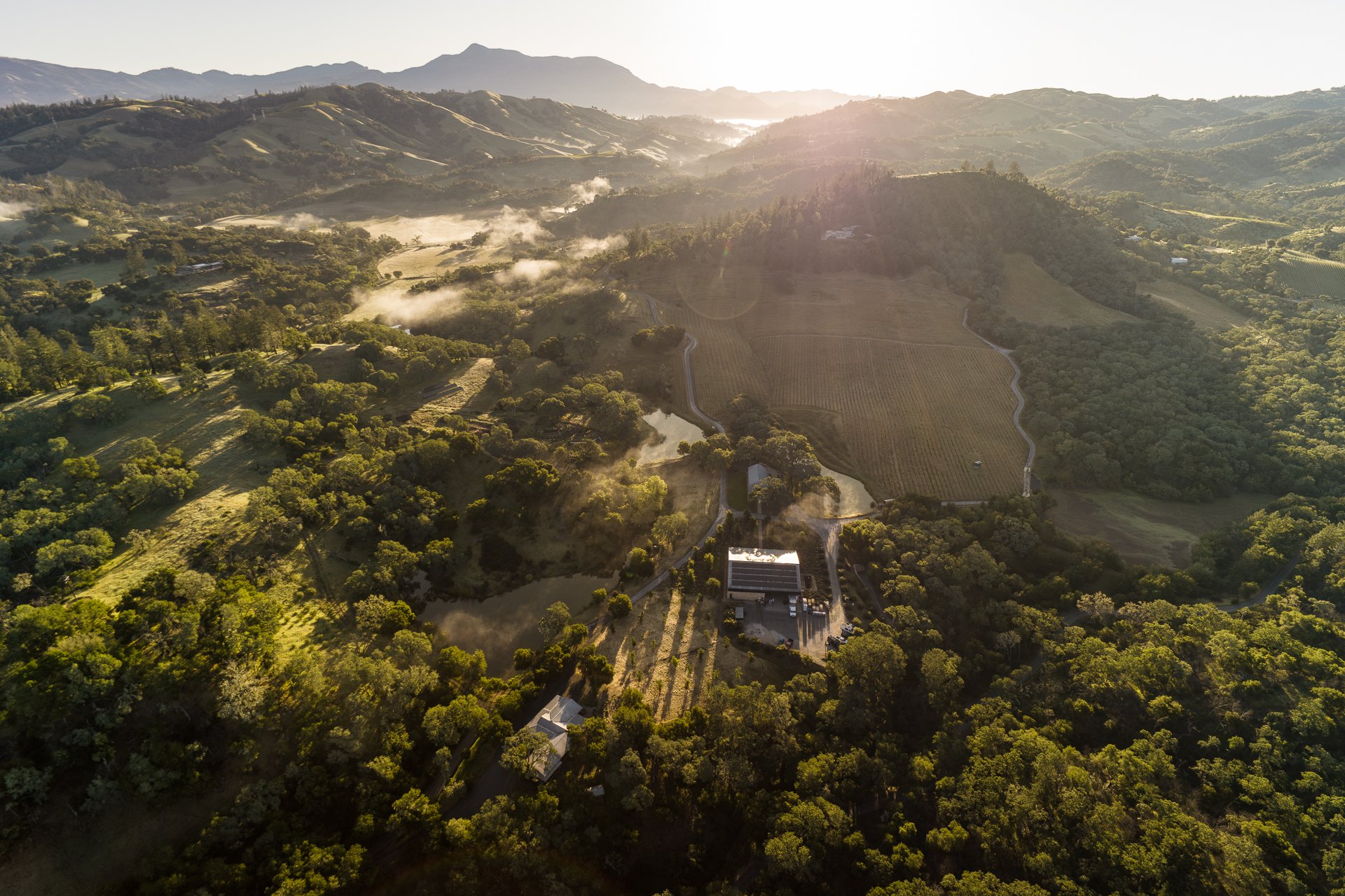 Aerial view of rolling green hills, forests, and farmland at sunrise with mist in the valleys and mountains in the background.