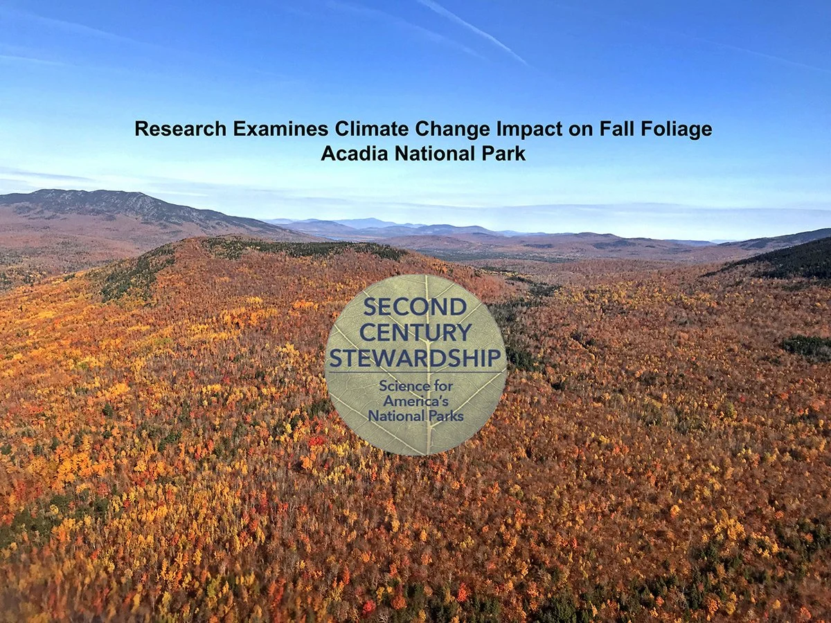 Research Examines Climate Change Effect on Fall Foliage - Second Century Stewardship at Acadia National Park 