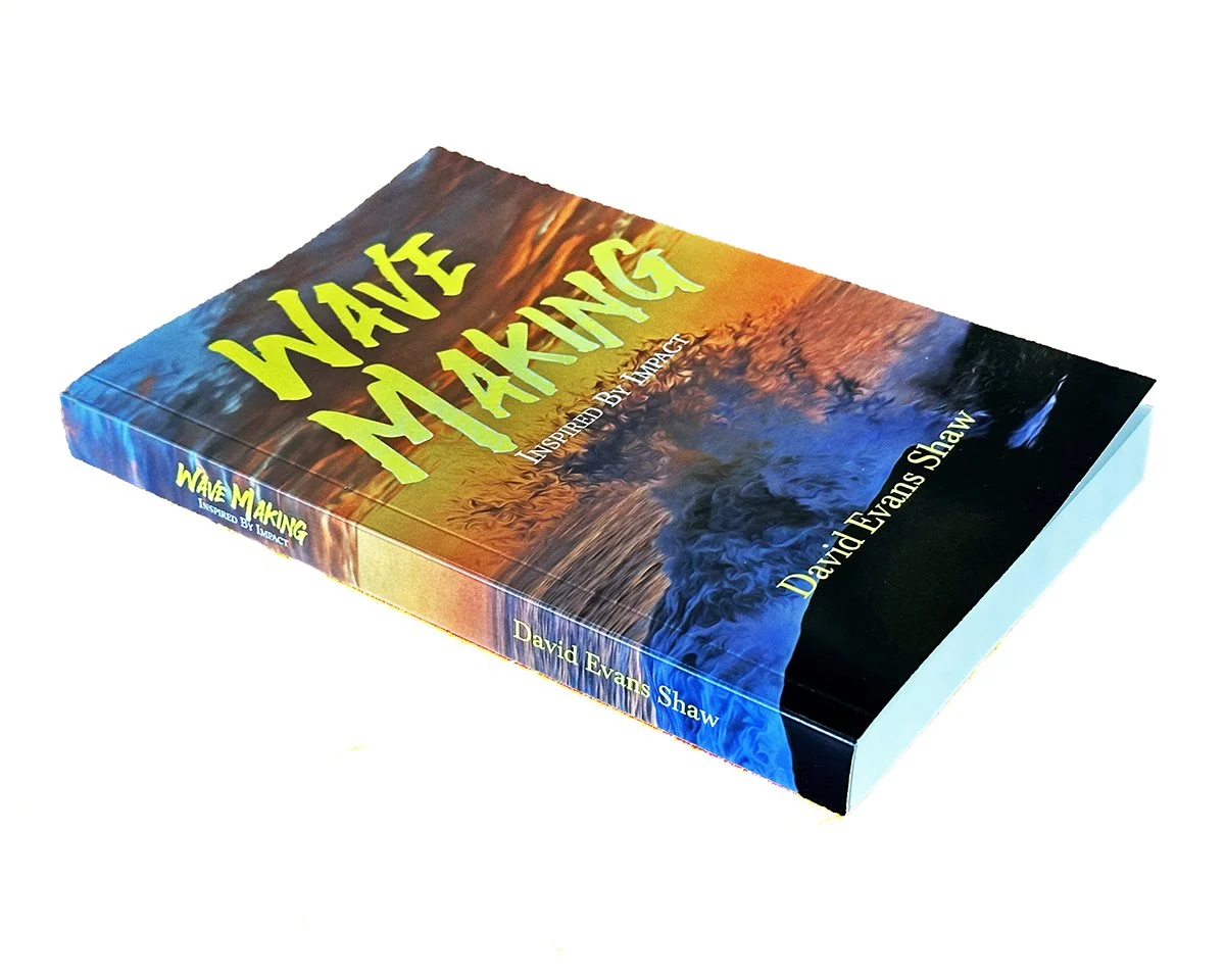 Wave Making: Book Reviews and Praise