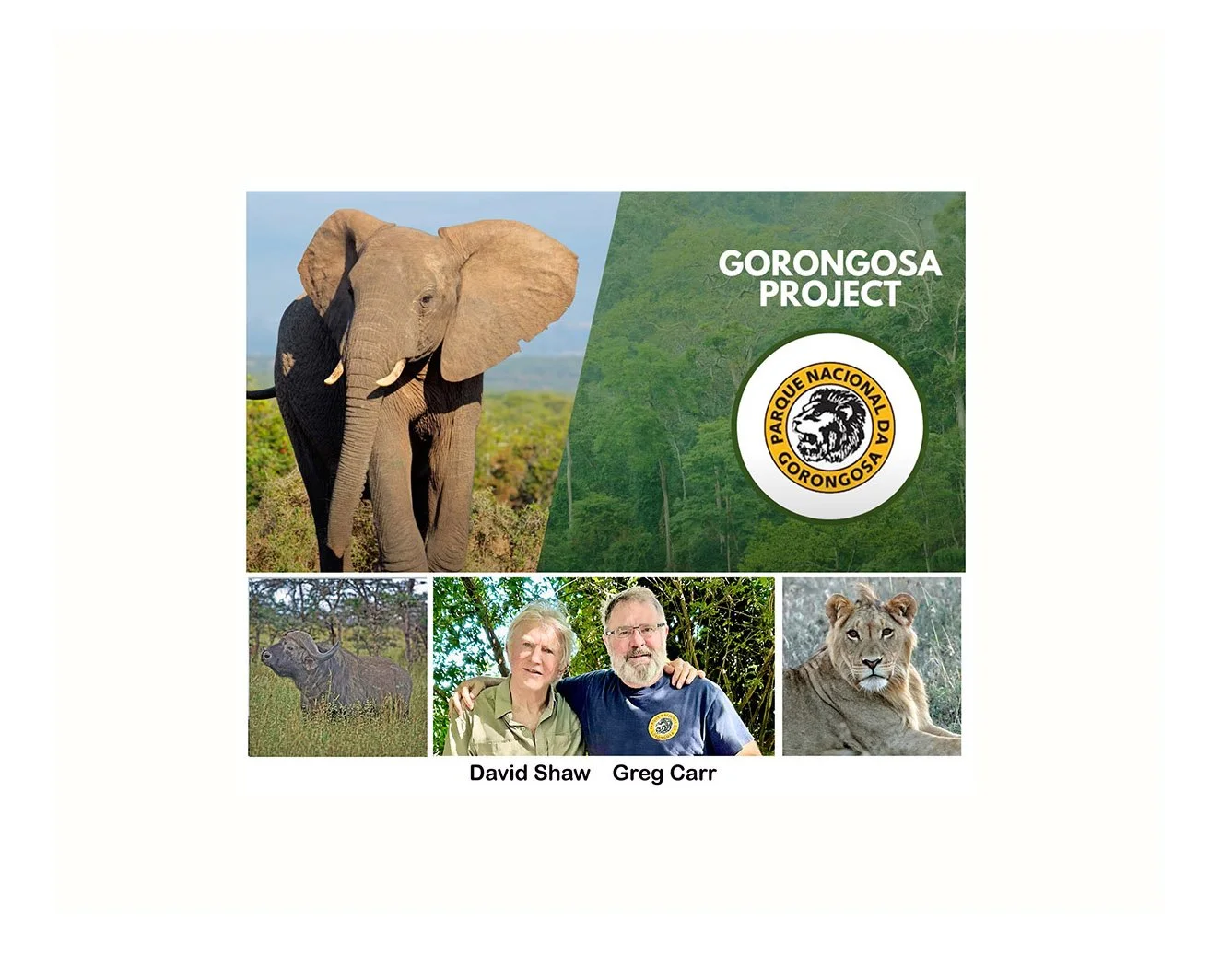Gorongosa National Park