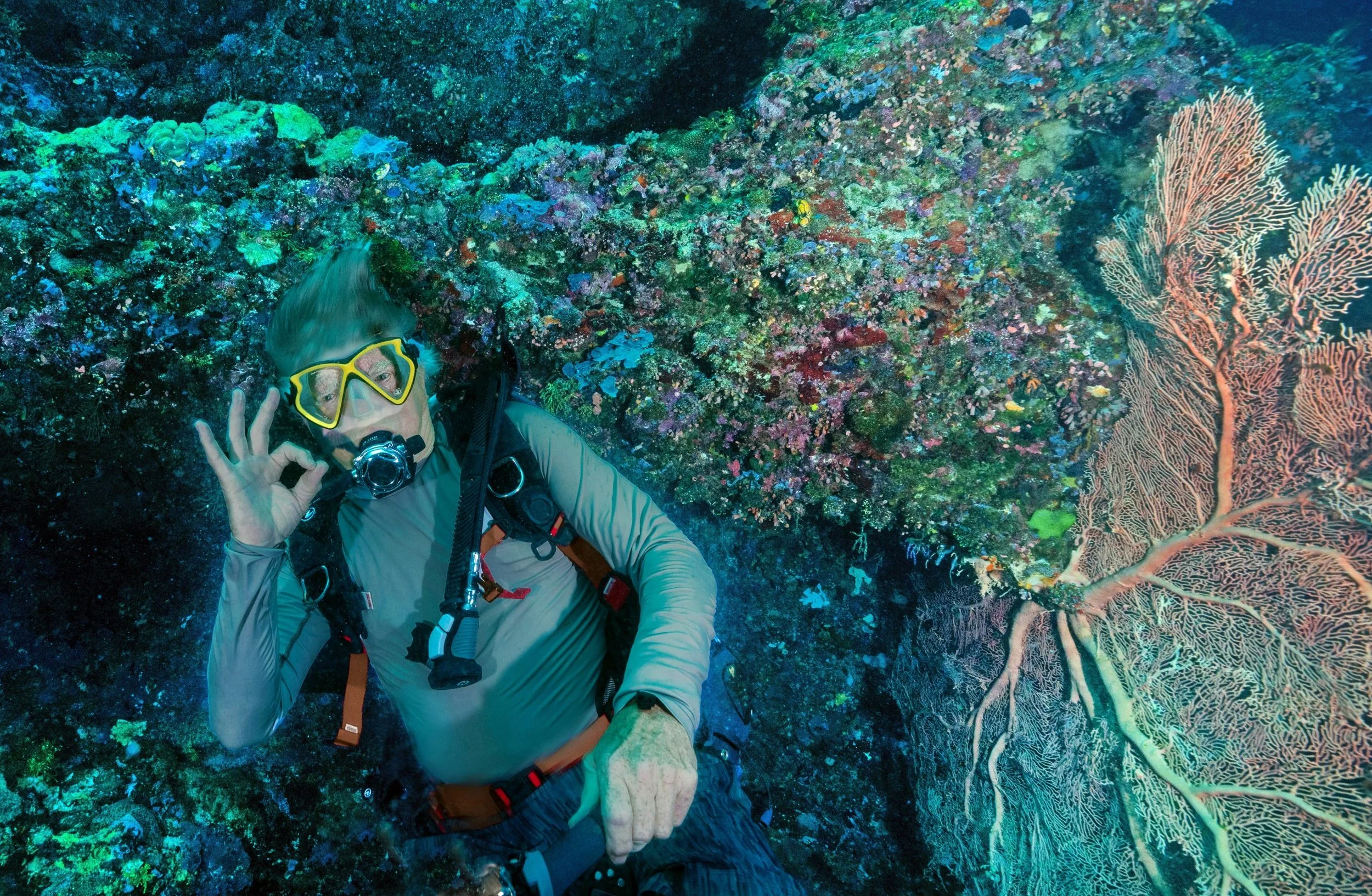 Two Historic Victories for World Oceans