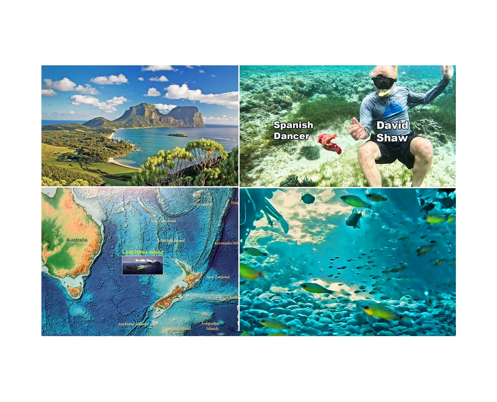 Lord Howe Island: Resilient Gem of the Tasman Sea 