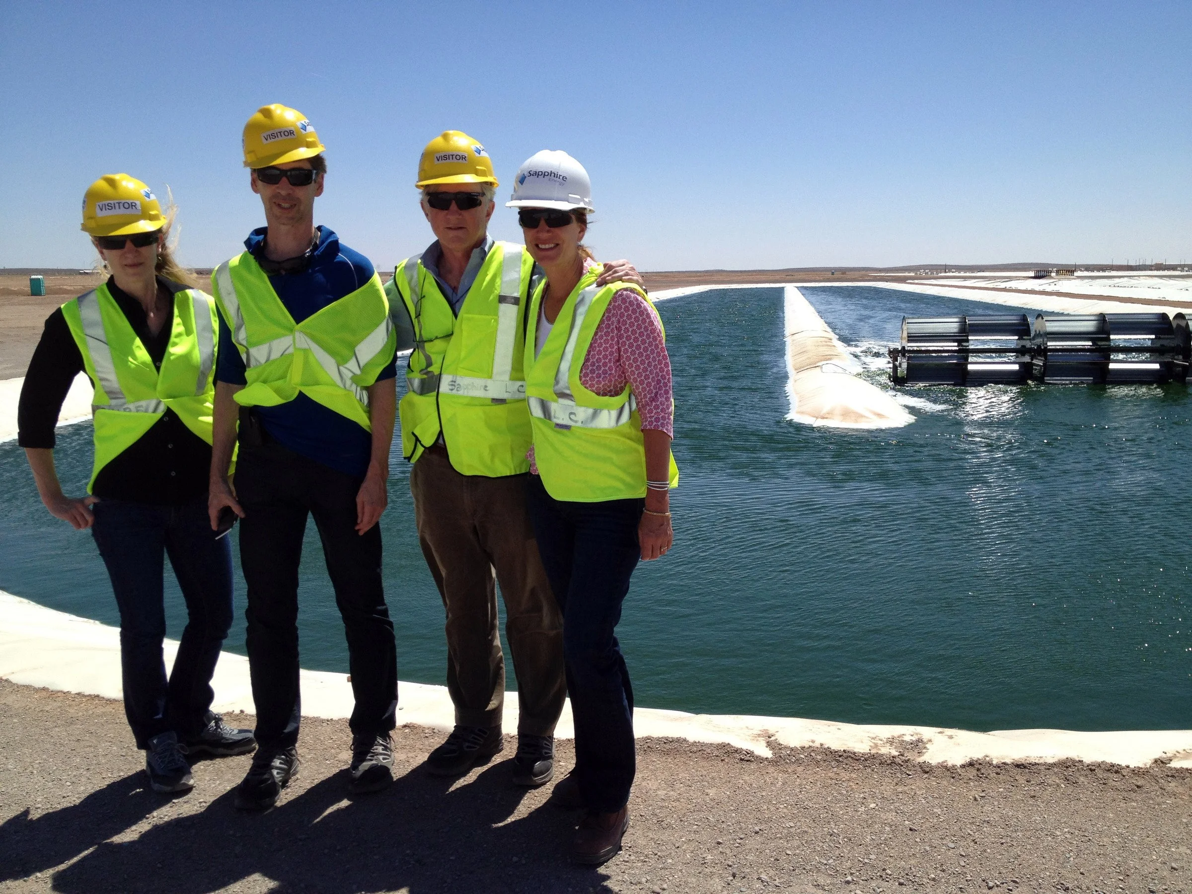 Sapphire Energy: Growing Green Hydrocarbon Fuels