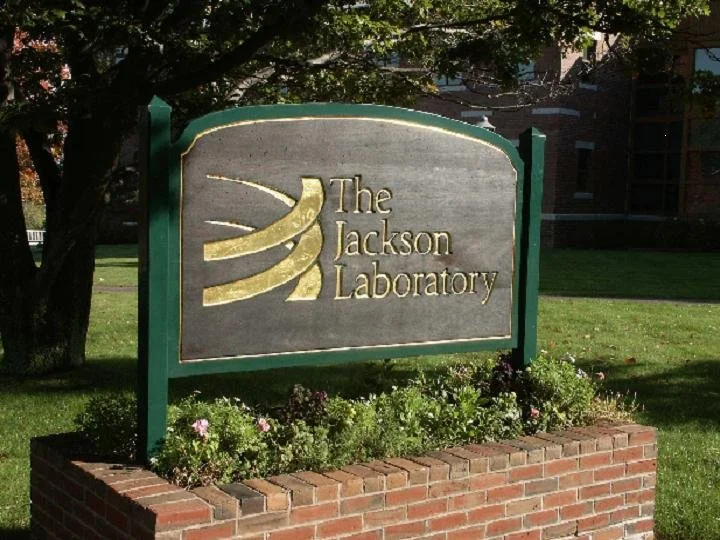 25 Year Relationship with Jackson Laboratory
