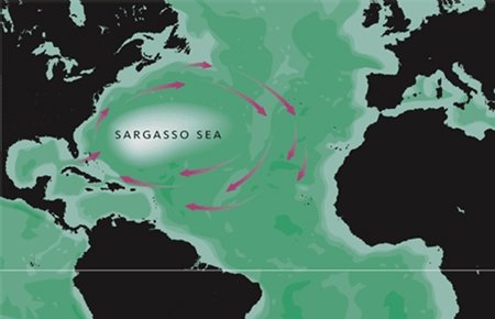 Novel International Diplomacy Approach to Ocean Stewardship