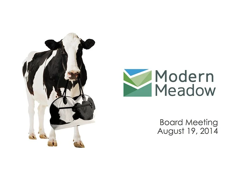 Modern Meadow
