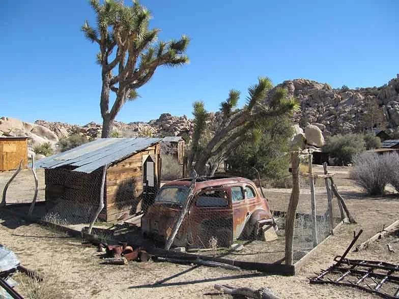 Joshua Tree National Park & Mojave National Preserve