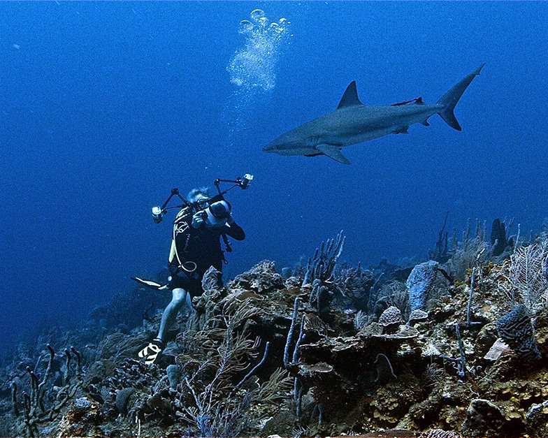 Ocean research expedition to Honduras: July 2011