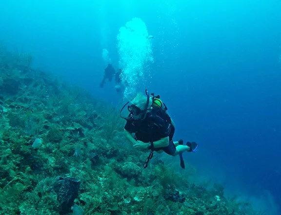 Belize environmental conservation event
