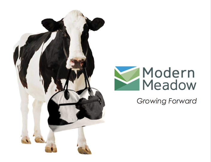 Modern Meadow Series B Financing