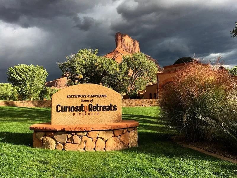 Curiosity Retreat 2016