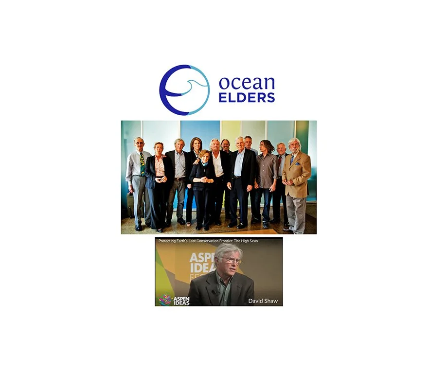 David E Shaw Joins Ocean Elders