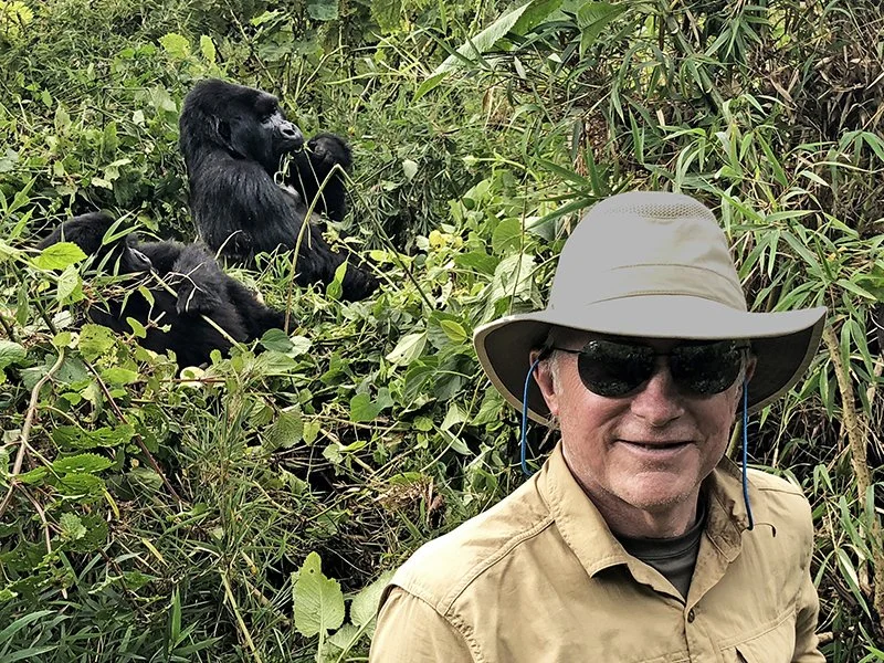 Mountain gorillas of Virunga National Park
