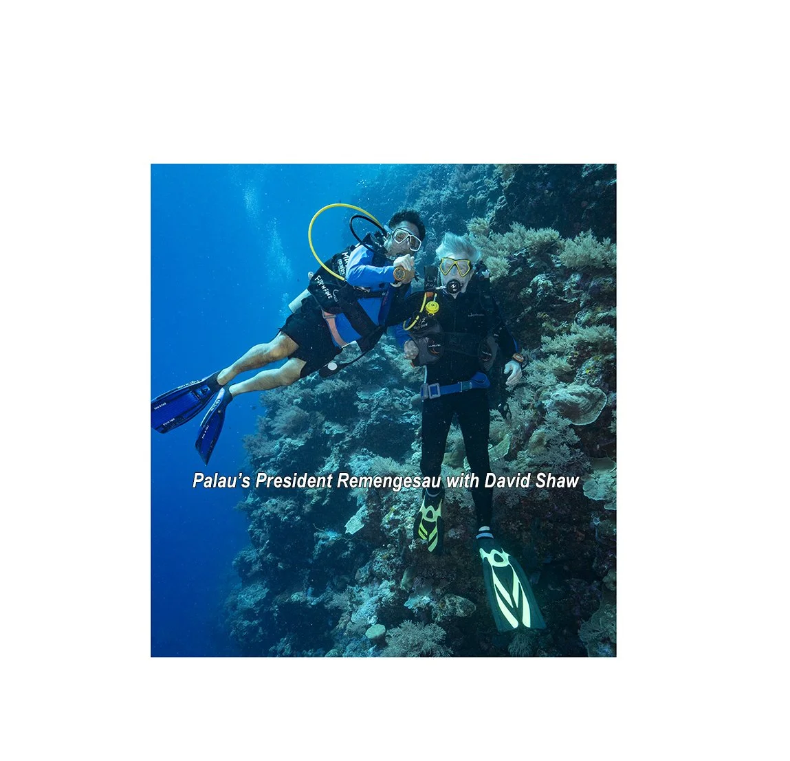 Celebrating Leadership in Ocean Stewardship : Expedition to Palau 2018