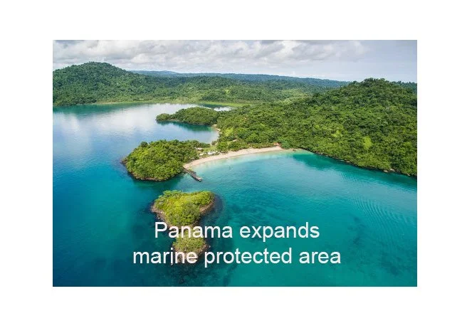 United Nations World Oceans Day 2021 : Expansion of the Panama's Cordillera de Coiba Managed Resources Area