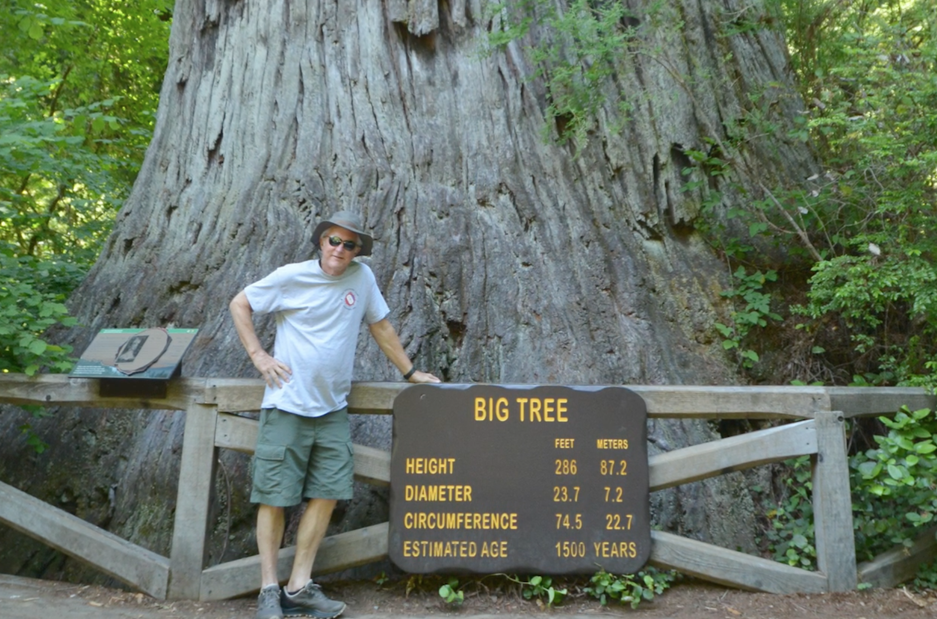 Awe Inspiring Redwood Forests and National Parks