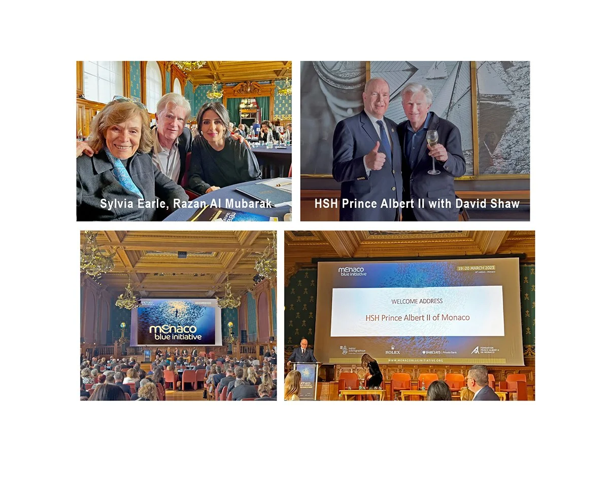 Monaco Blue Initiative and IUCN gathering 