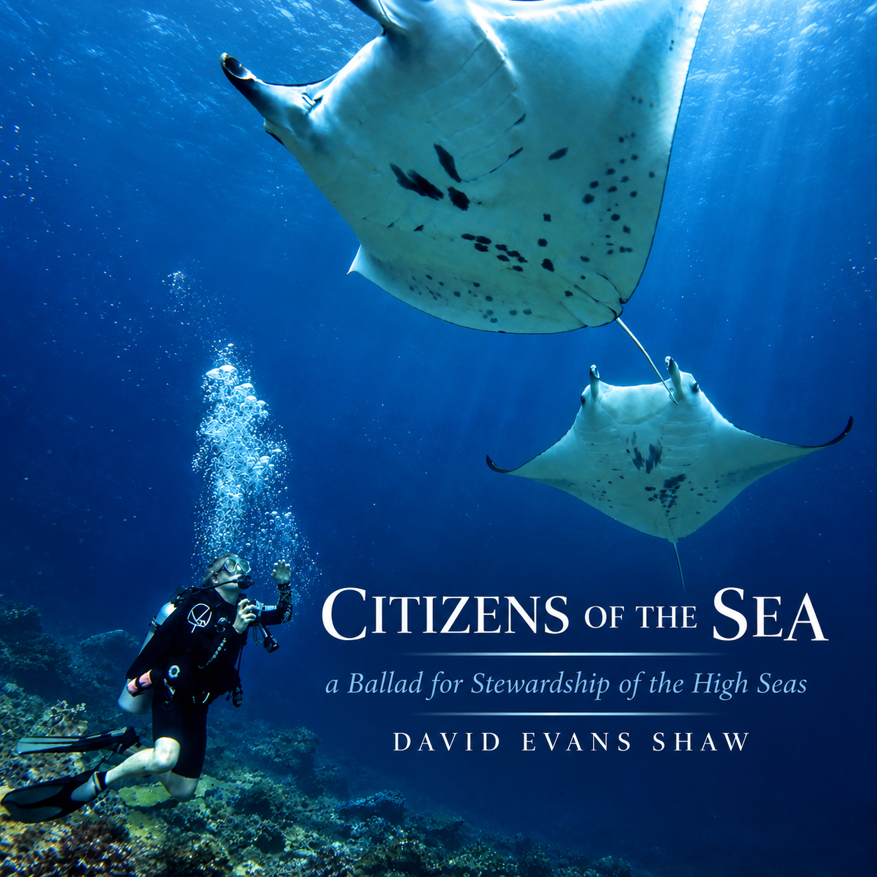 Citizens of the Sea Ballad and Music Video 