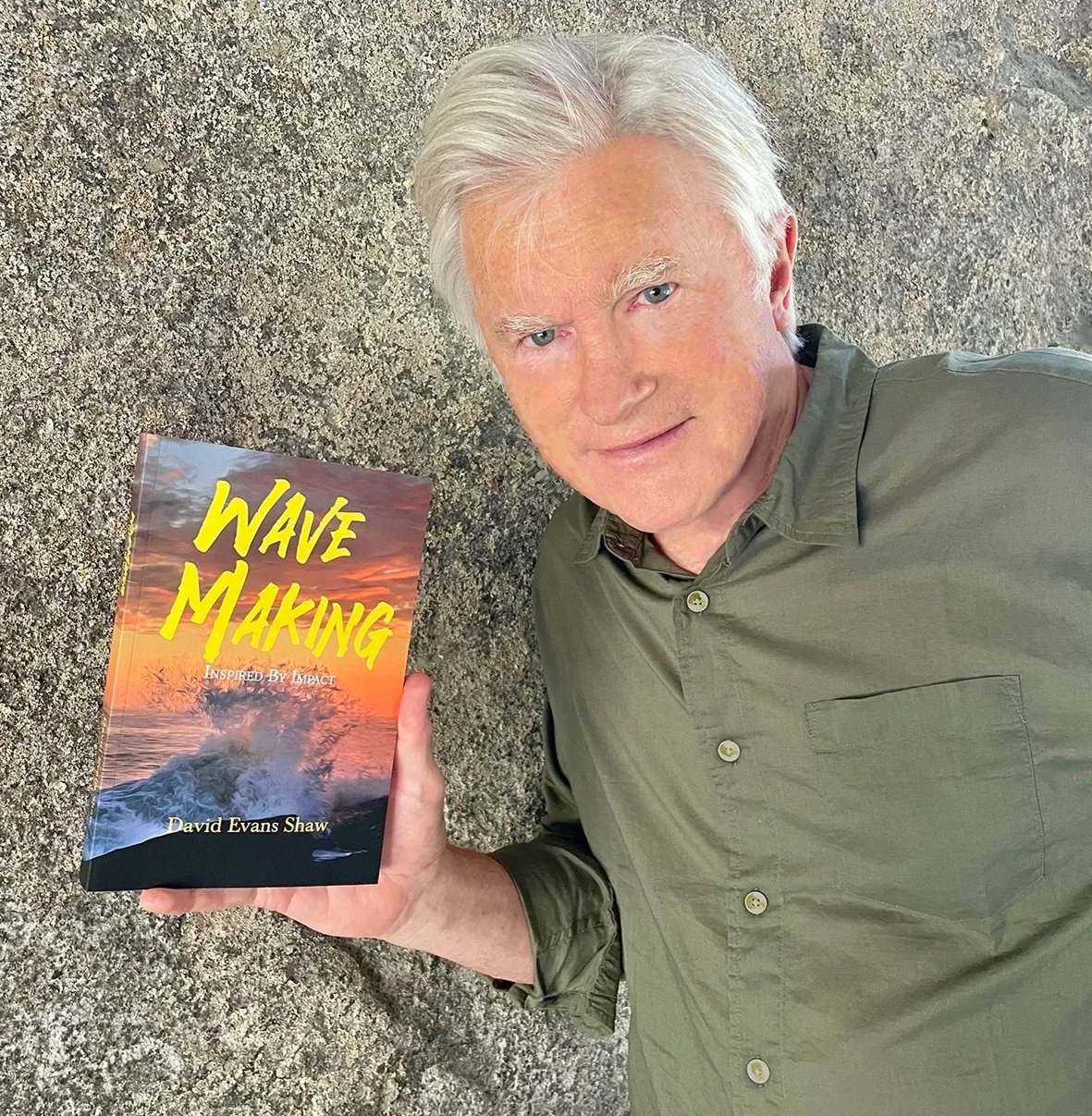 Launch of Wave Making book:  Inspired by Impact 