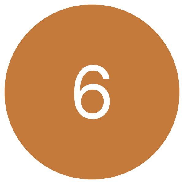 Brown circular object with the number 6 in white in the center.