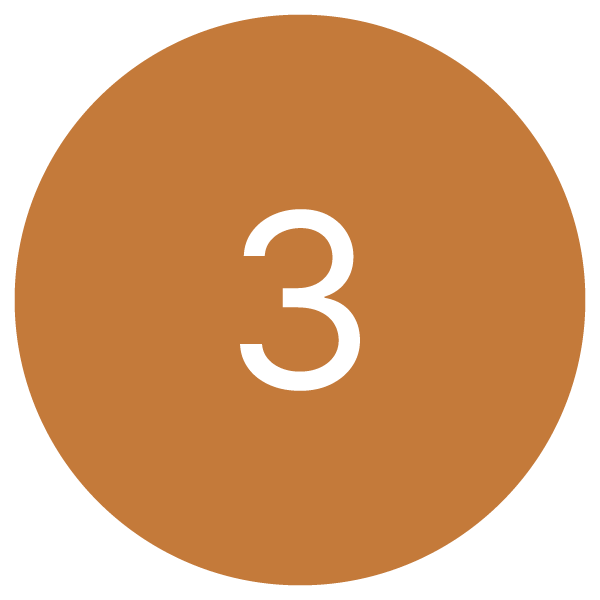 Brown circle with white number 3 in the center.