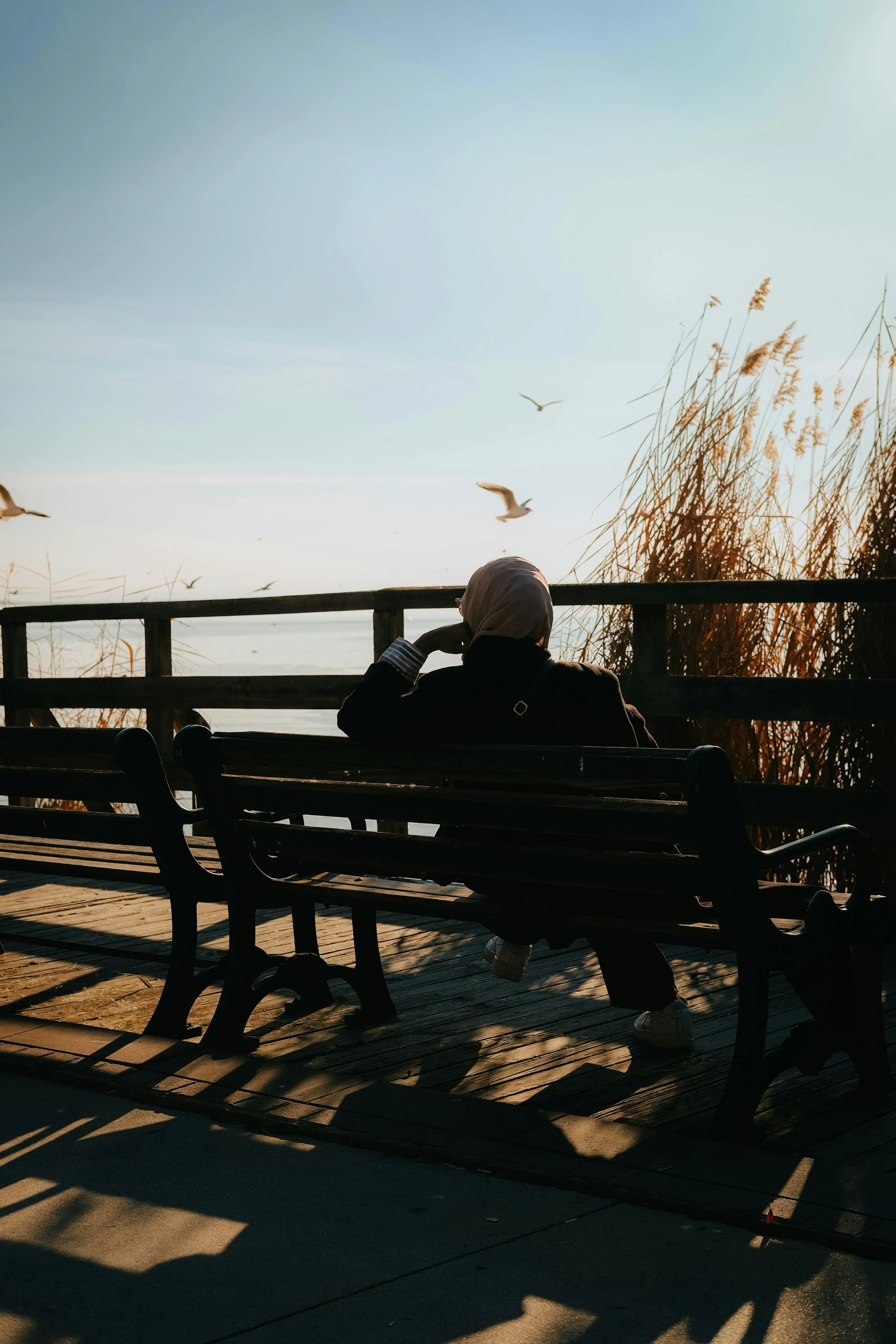 A person sitting on a park bench, wearing a headscarf and facing away, with birds flying overhead and tall dry reeds beside a body of water in the background during sunset.