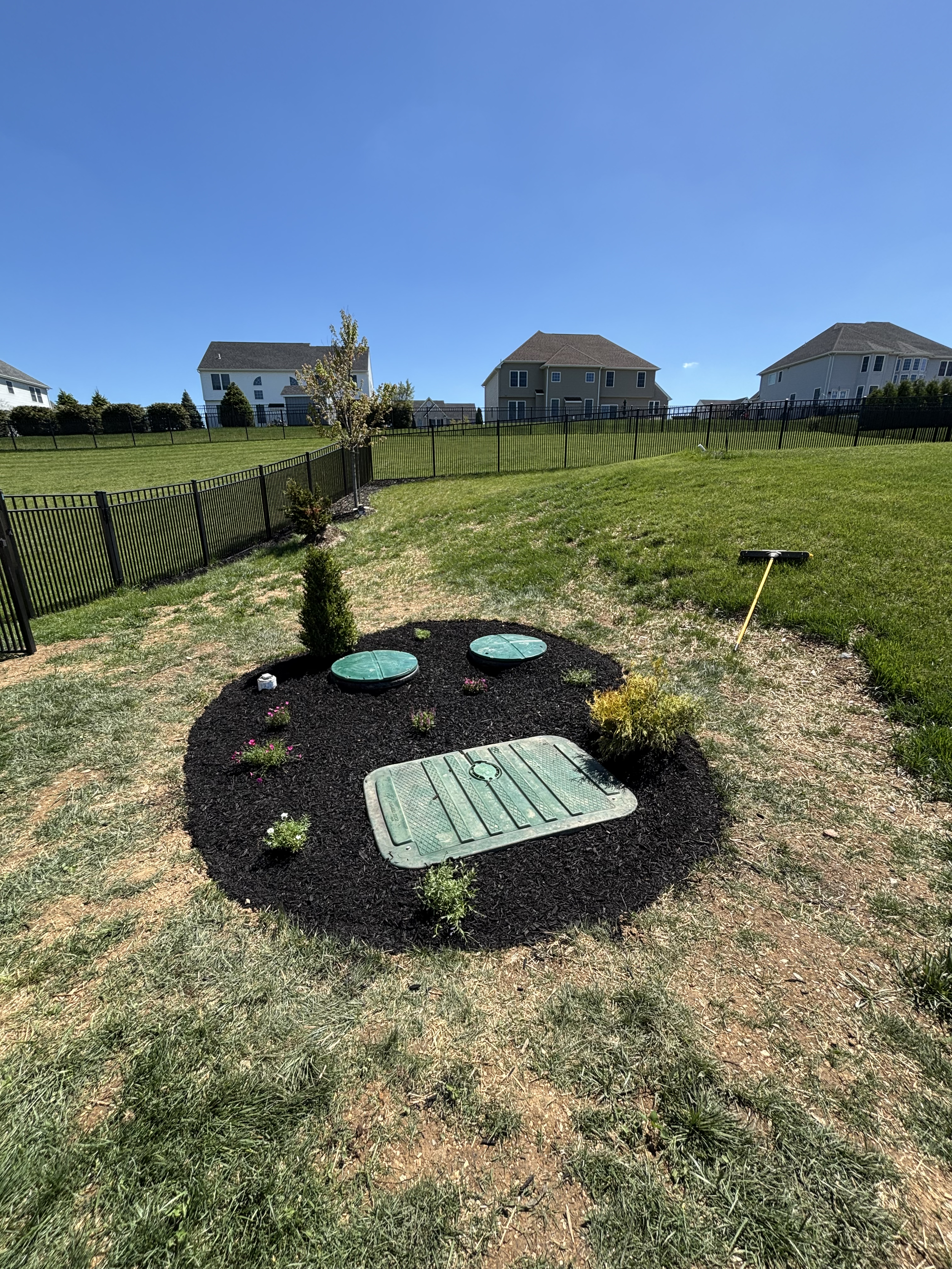 Backyard with landscaped garden, fence, and neighboring houses under bright blue sky.