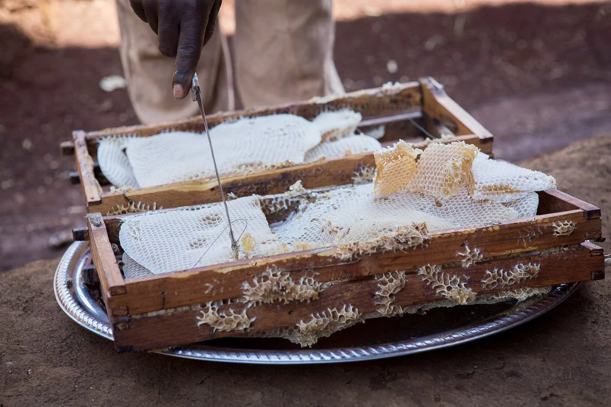 WEEMAinternational_Beekeeping-5036.jpg