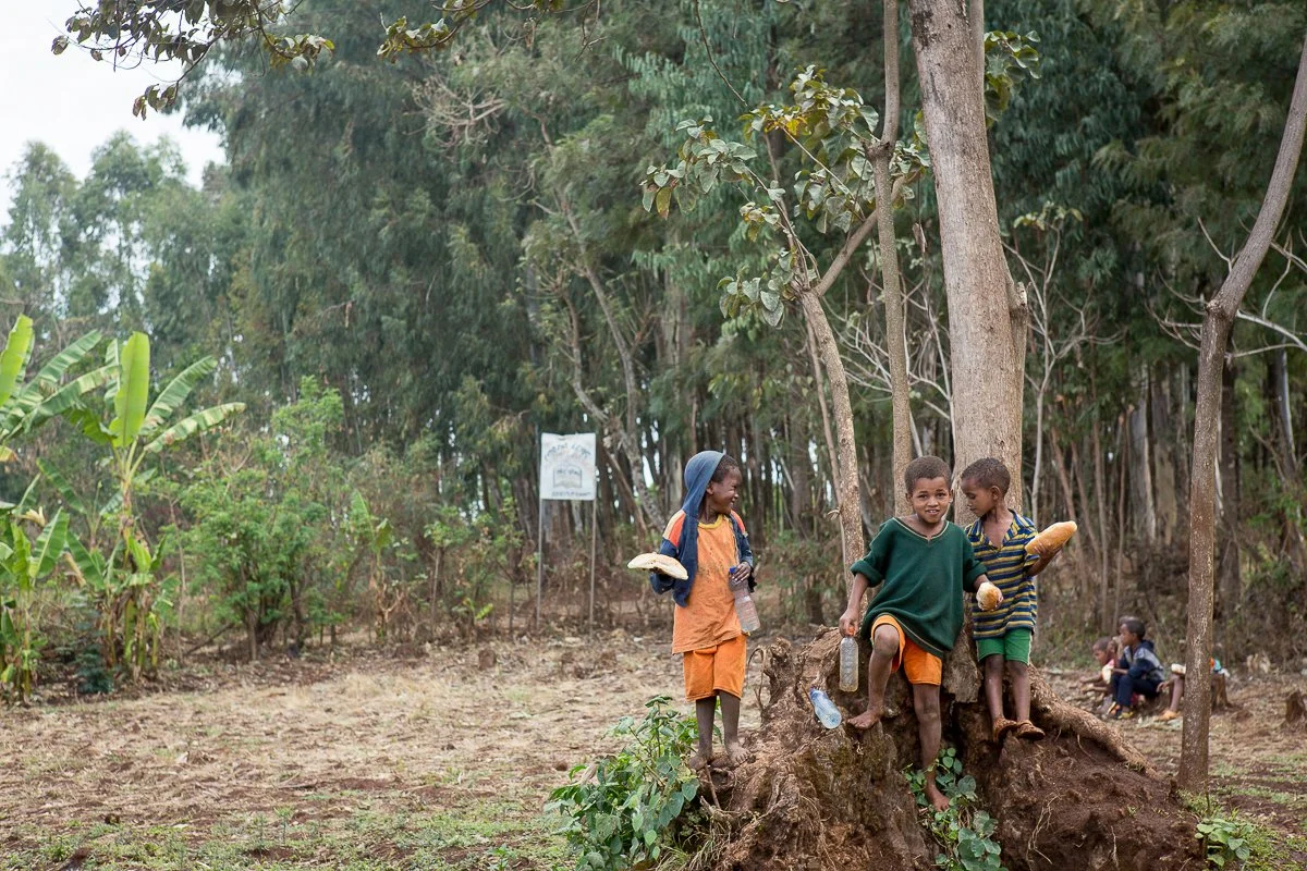 WEEMAinternational_FerzanoKindergarten-5931.jpg