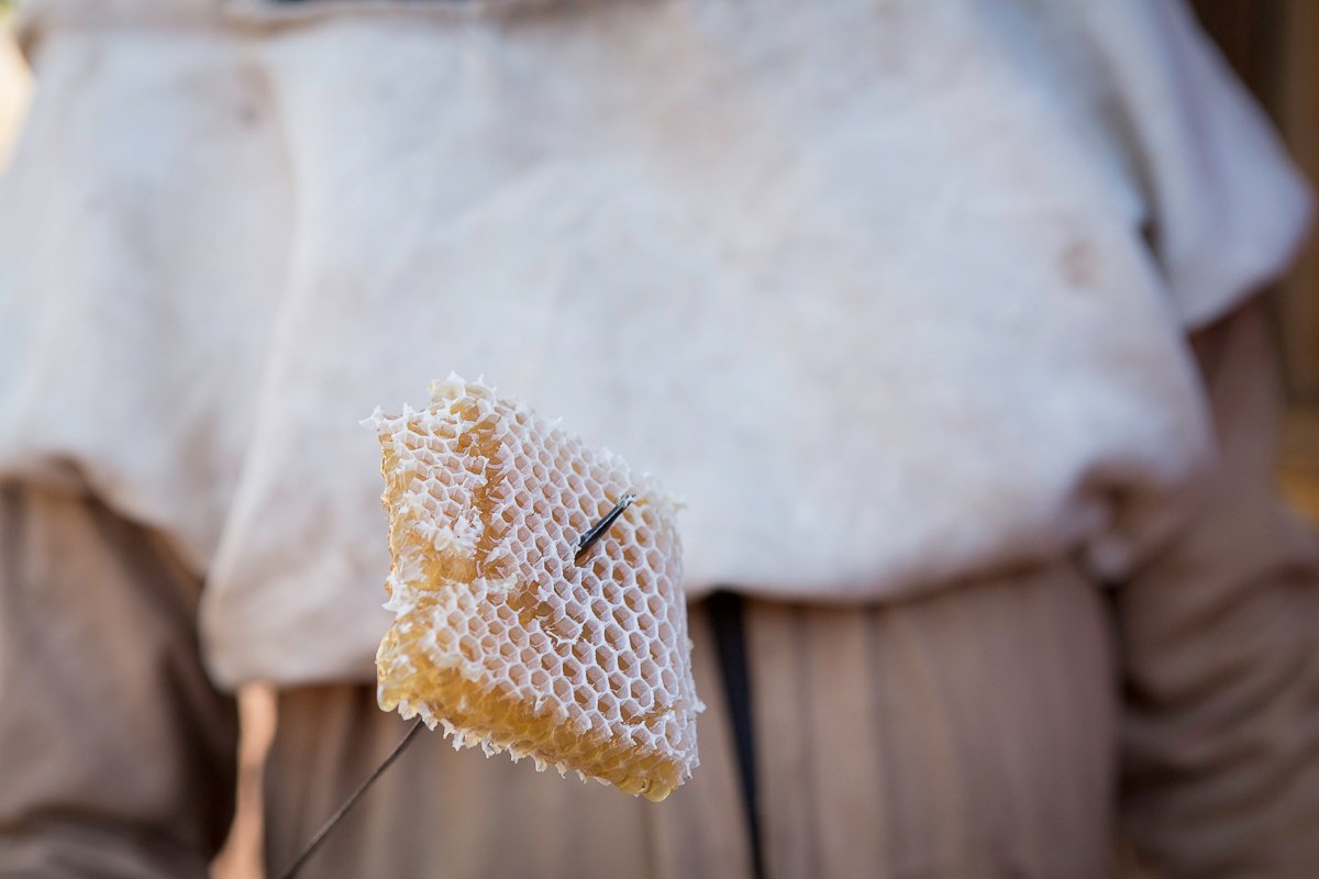 WEEMAinternational_Beekeeping-5047.jpg