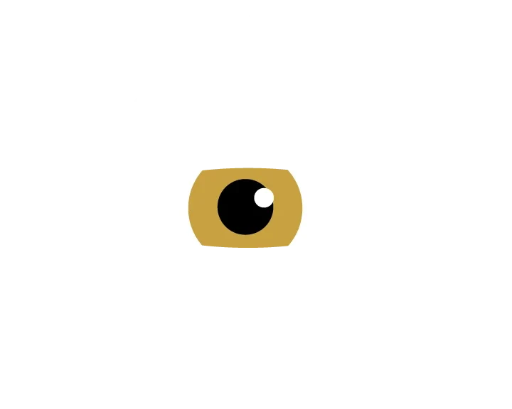 The Magic Mushroom Museum &amp; Menagerie