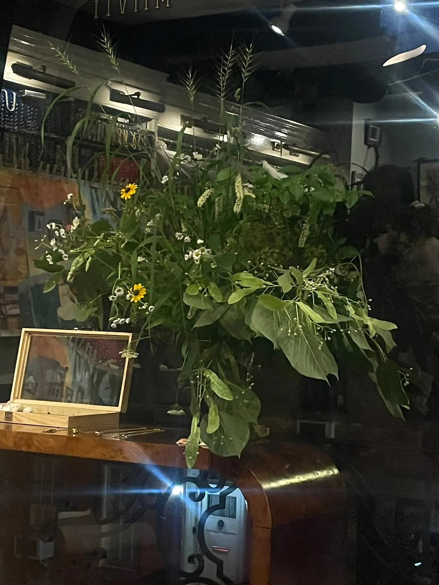 Wild Home: a floral arrangement by FenElektra for the New York release of To Will a House, inspired by To Will a House.

FenElektra is a Floral and Spatial Design business based out of London, UK, featuring work by Fenella Evans and Elektra Thomson.