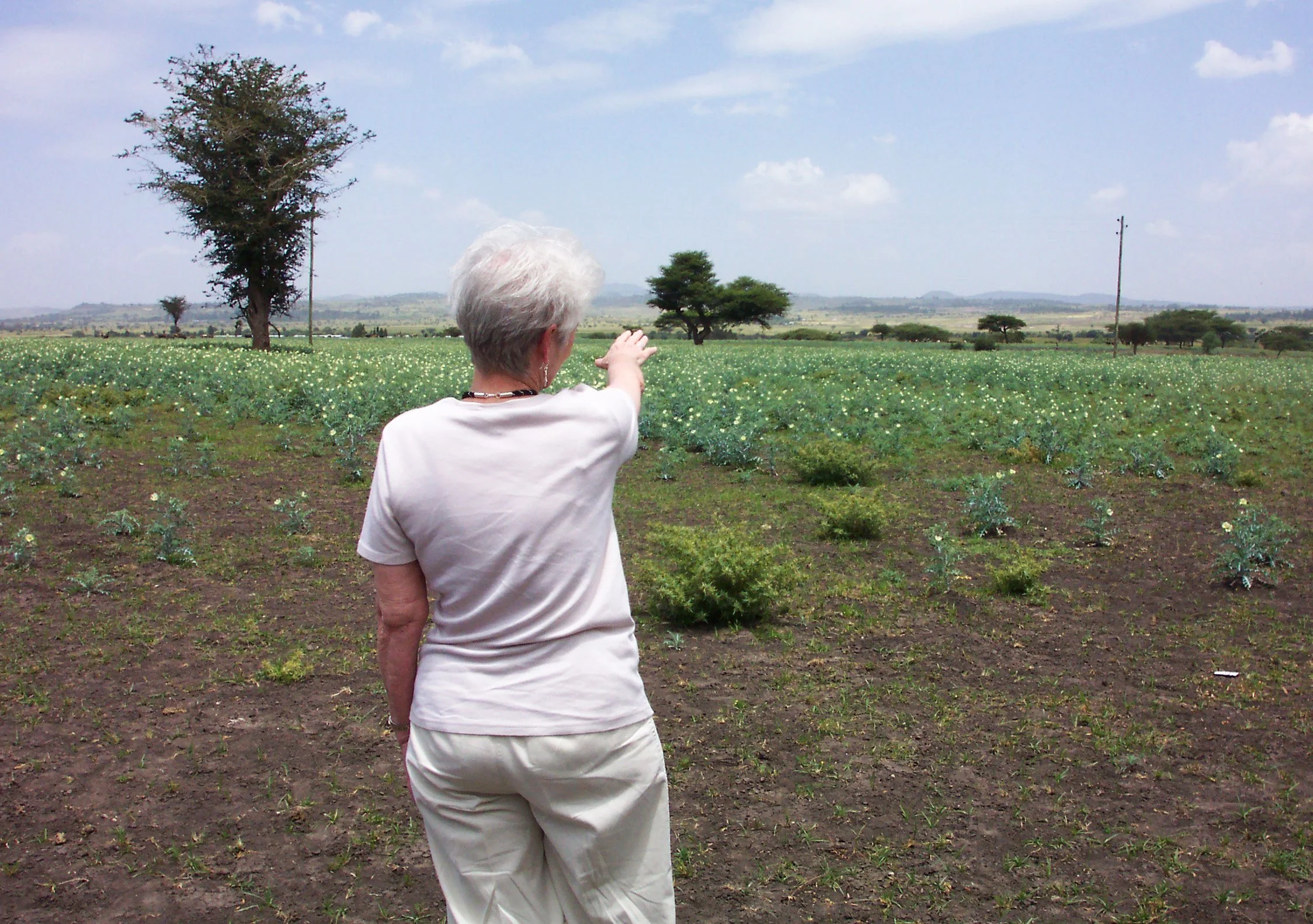ethiopia_vil_land_032.jpg