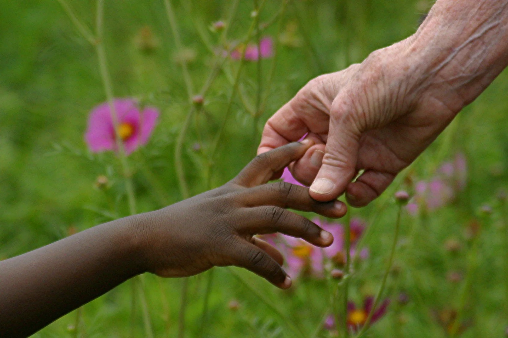 rmj hands 001.jpg