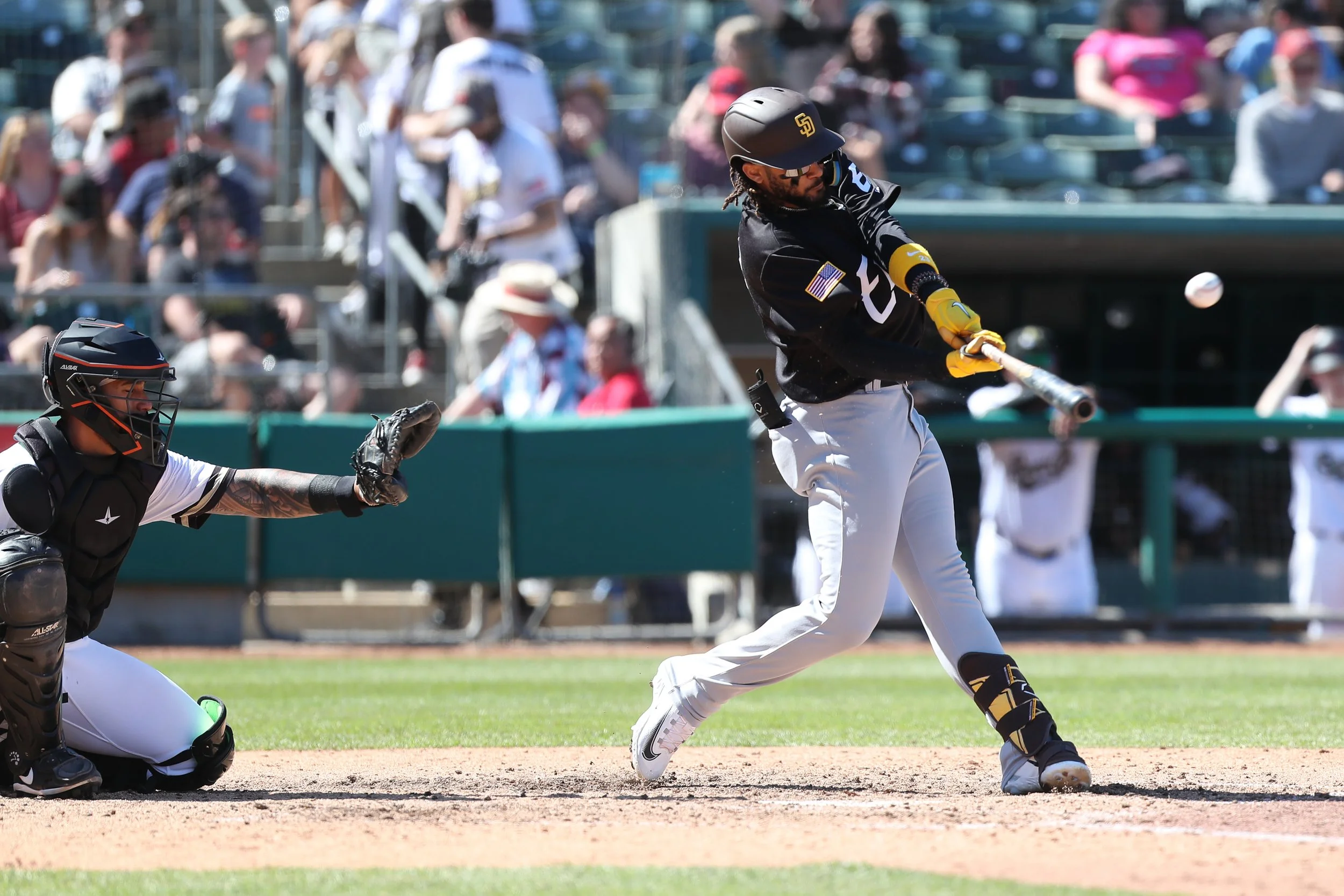 Chihuahuas_vs_RiverCats_1193.jpg