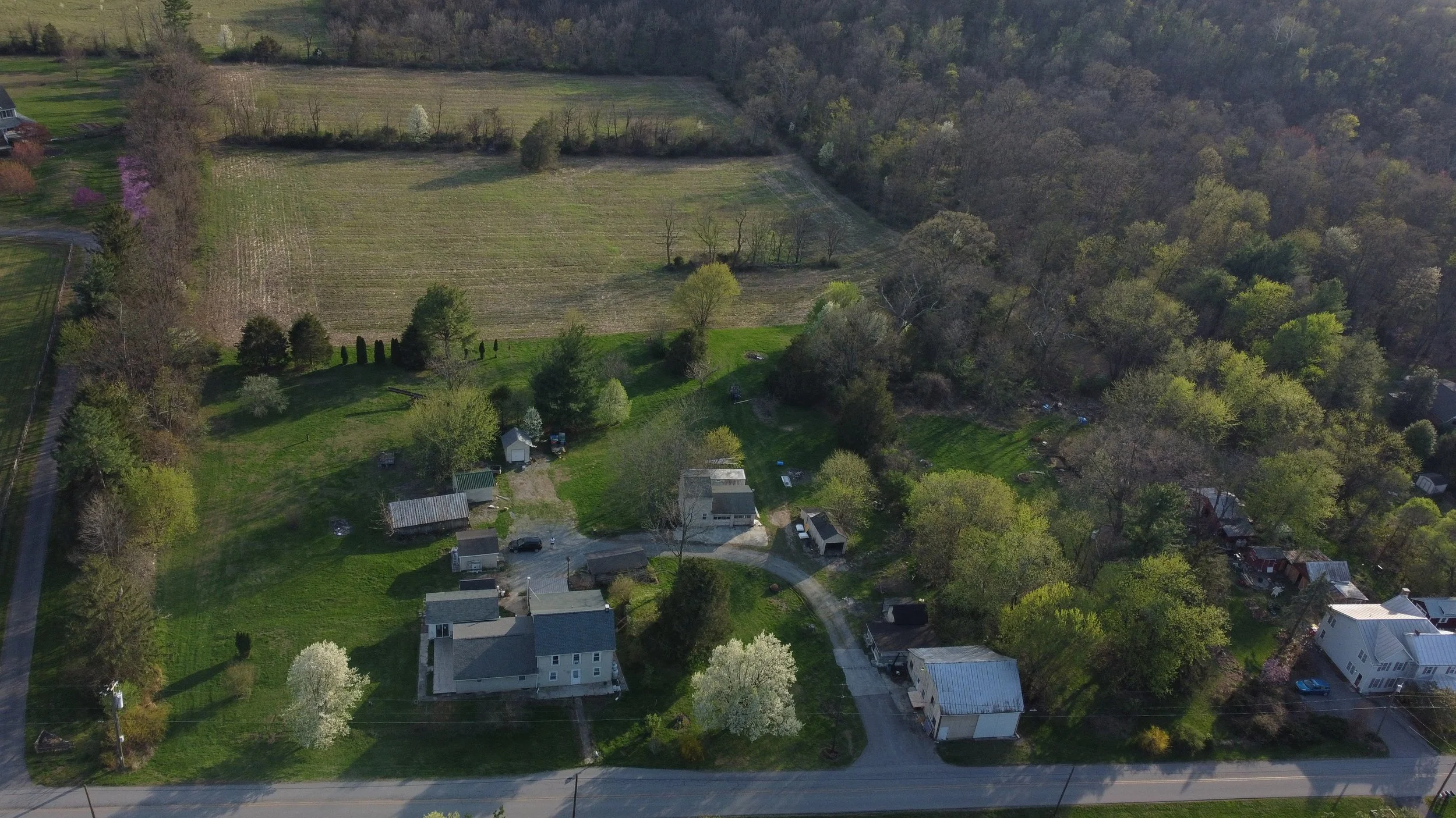 Aerial view of a rural residential area with houses, green lawns, trees, and a large open field with a tree line on the edge.