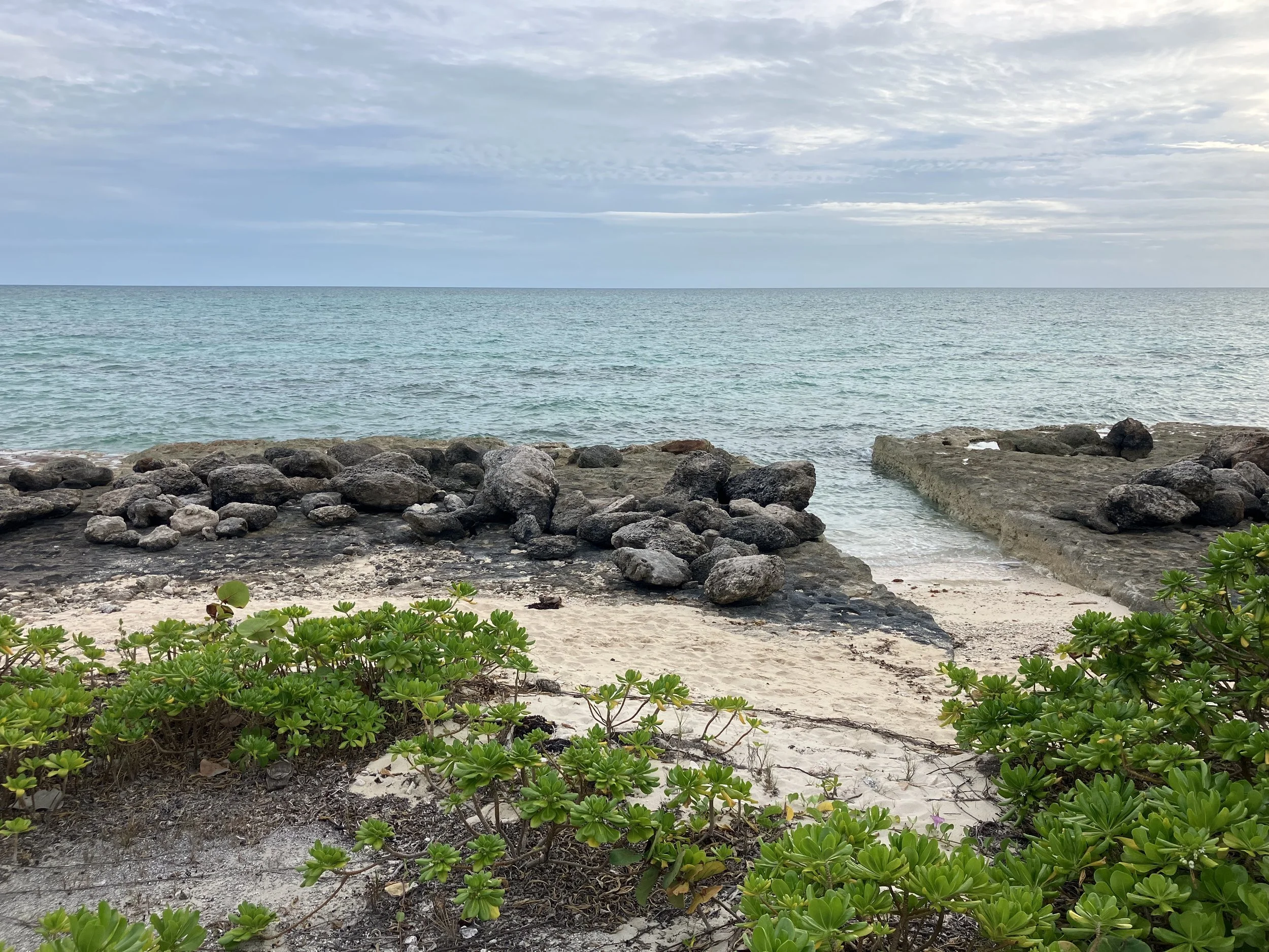 A rocky shoreline with green plants, sandy beach, and calm ocean water, under a cloudy sky.