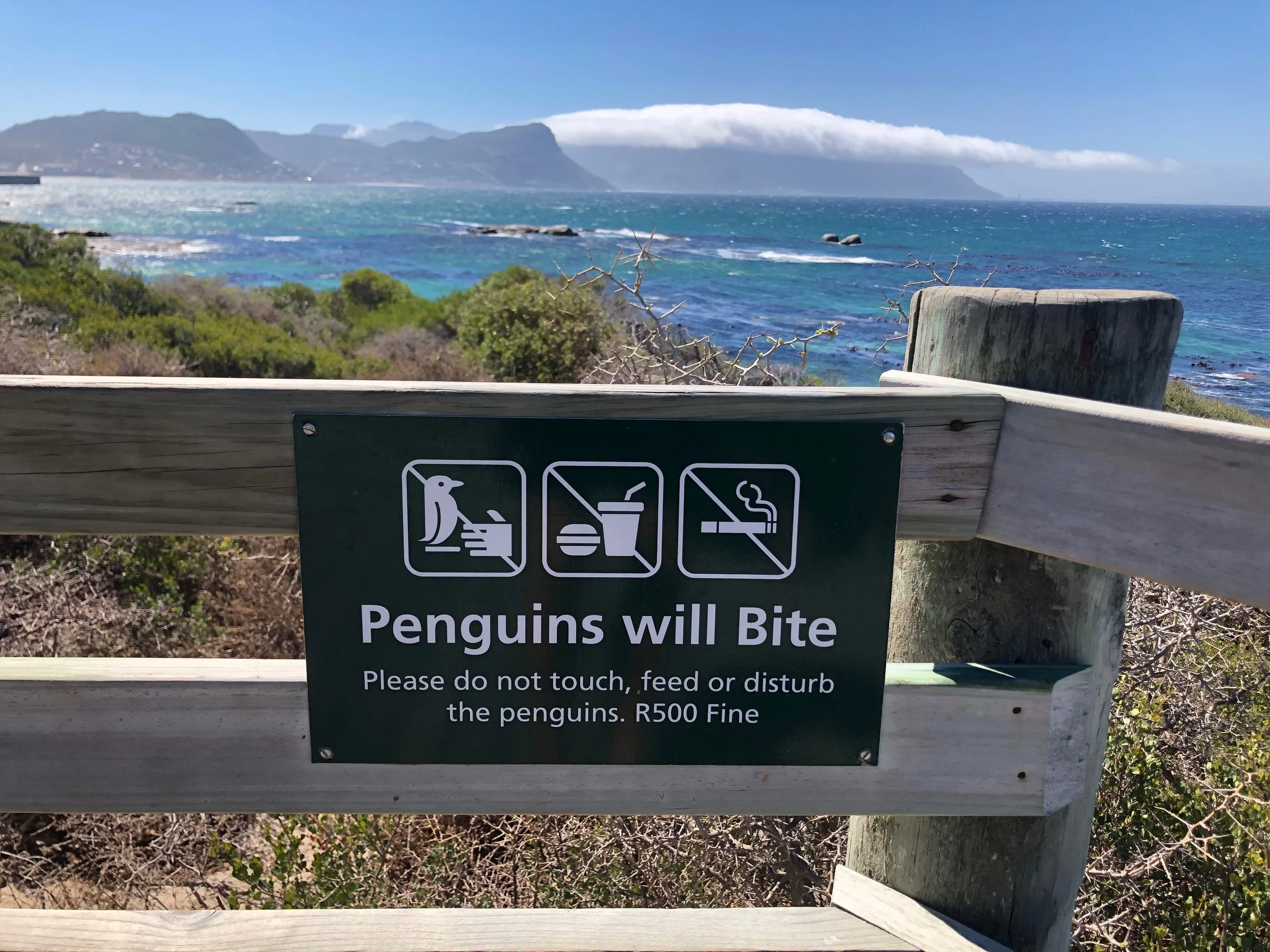 A scenic ocean view with mountains in the background, partly covered by a cloud, and green shrubs in the foreground. A wooden railing and a sign warning about penguins are visible.